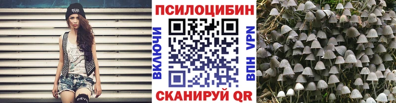 Купить закладки  Донской  Галлюциногенные грибы мицелий 