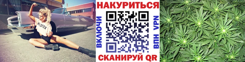 Купить  Донской  Конопля сатива 